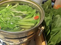 生烫鸡毛菜-卢大鲜鱼头捞饭(美利广场店)