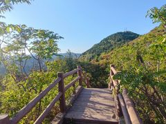 -府君山公园
