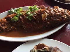 -东戴河风景区-止锚湾