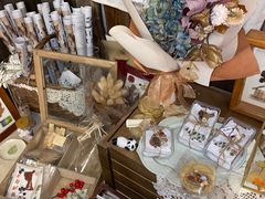 -知物癖(牛王庙店)