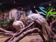 -正佳极地海洋世界