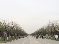 景点-永定门公园