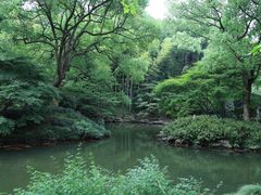 -杭州植物园