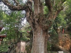 -安溪清水岩