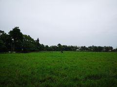 -瑞穗牧场