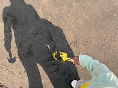-启东恒大海上威尼斯酒店