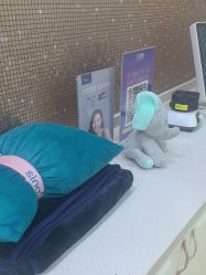 -上海首尔丽格医疗美容医院