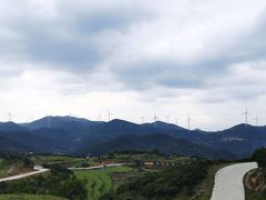 -大姆山草场