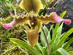 -国家植物园南园