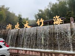 -宁波浙东大竹海景区