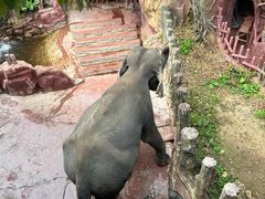 -长鹿旅游休博园