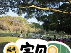 -荔香公园