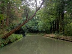 -同里国家湿地公园