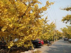 android_upload_pic-雨花胜境