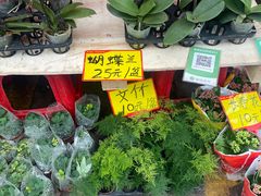 -细村农贸综合市场