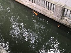 -韶山毛泽东同志故居