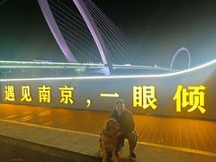 -南京眼步行桥