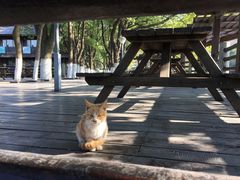 -白马涧龙池景区