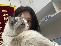 -中农国际动物医院24小时·猫科·骨科·急重症中心