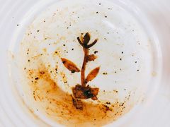 -ADO KAFE(大学城店)