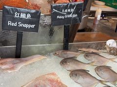 -济南凯宾斯基酒店-THE VIEW云景全日制餐厅