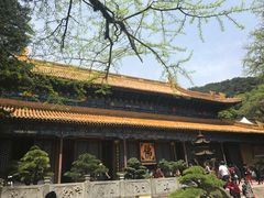 -普陀山风景名胜区-法雨禅寺