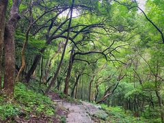 -严子陵钓台(富春江小三峡)