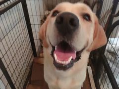 -佳百利宠物(荣乐中路115弄小区店)