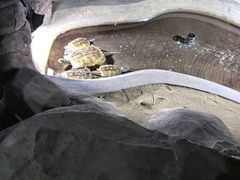 -泉城欧乐堡海洋极地世界