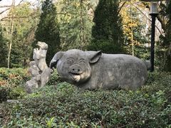 -金孔雀温泉旅游度假村