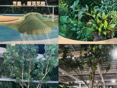 -国芳中心