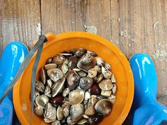 -北海金海湾红树林生态旅游区