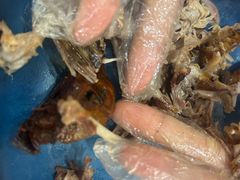 -煲煲掂风味煲仔饭餐厅(西区店)