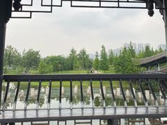 -眉山湿地公园(东坡区)