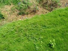 -紫颐香薰山谷景区