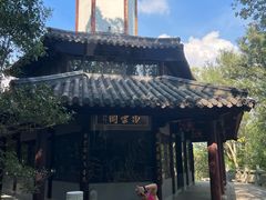 -上海佘山国家森林公园天马山园