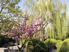 -北极寺公园