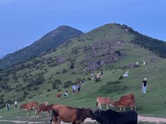 -大姆山草场