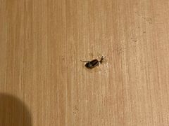 -全季酒店（上海南站徐汇万科中心店）(原冠生园路店)