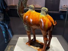 -贵州省博物馆(新馆)