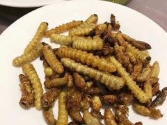 -昆虫窝子·特色云南菜(拓东路总店)
