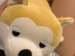 -上海龙之梦万丽酒店