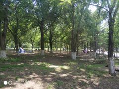 -长白岛森林公园