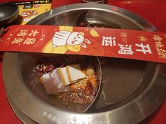 菌汤鸳鸯锅-谭鸭血老火锅(正佳广场店)