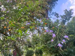 -四川大学(华西校区)