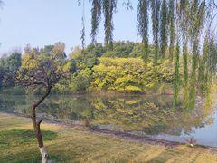 -东华大学(松江校区)