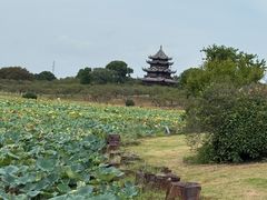 -上海海湾国家森林公园