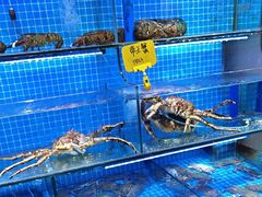 -前王院•巧克力海鲜市集餐厅(万平口店)