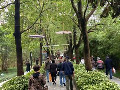 -溱湖国家湿地公园