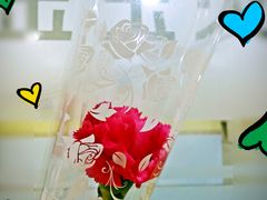 教室-金宝贝早教(和悦汇店)